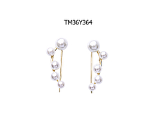 Earrings TM36A364